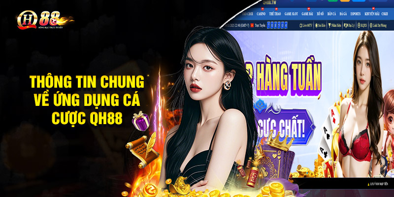 Thông tin chung về ứng dụng cá cược QH88