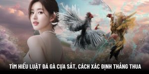 Quy tắc thi đấu đá gà cựa sắt và cách xác định kết quả